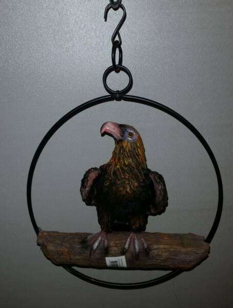 Eagle Sitting in Hanging Metal Ring. 