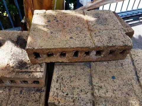 Pavers, Tan, clay, hollow, with patterned top face, qty 75