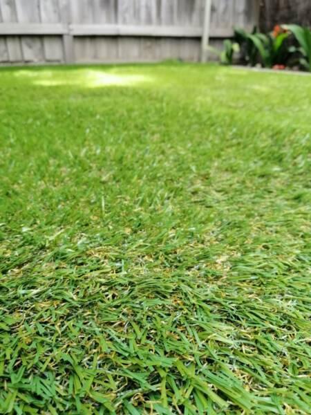 Synthetic grass - TOP QUALITY