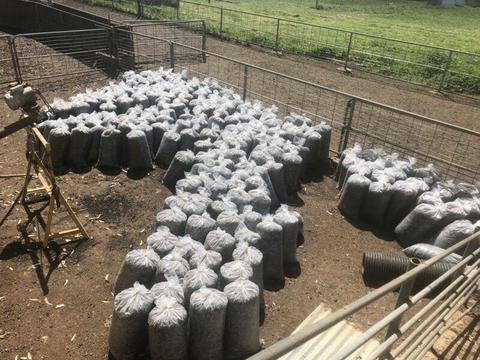 Sheep manure for sale