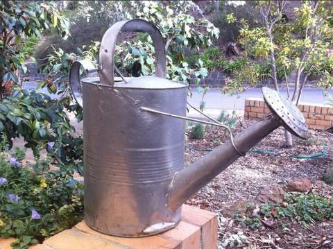 Rustic decorative 'antique' galvanized watering can