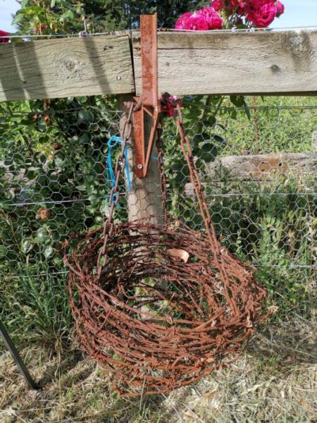 Barbed wire birds nest