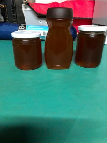 Honey pure organic