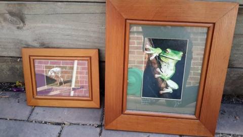 Two timber framed photos