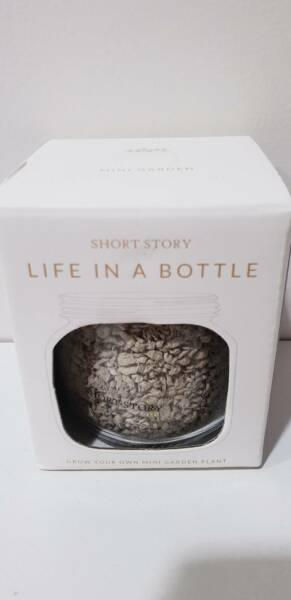 Brand New Short Story - Life in a Bottle - Grey