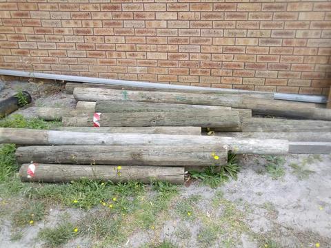 Treated pine poles
