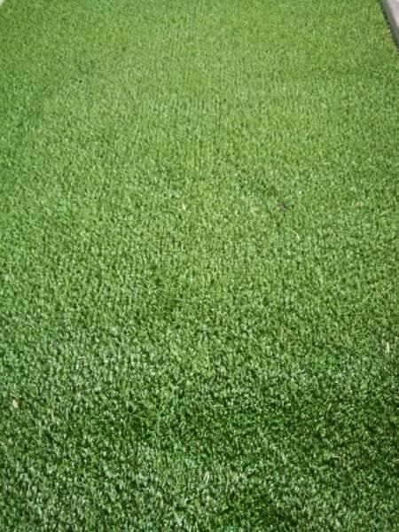 Grass Artificial