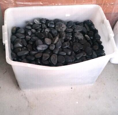 Large Box of Smooth Pebbles for Garden / Pond / Pots