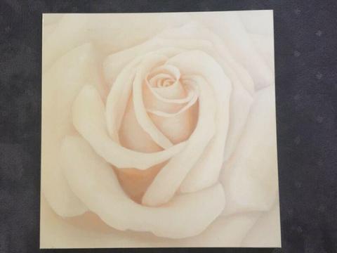 Large white Rose printed and lacquered canvas - STUNNING
