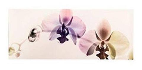 Orchids Canvas Extra Large Wall Art