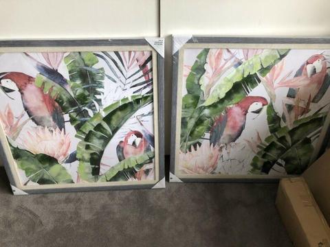 Brand new pair of framed canvas parrots artworks