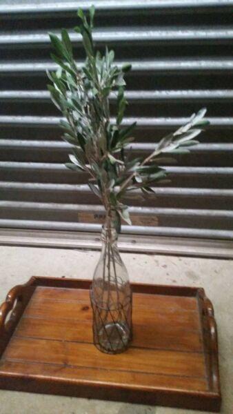 Olive branch with clear bottle home decor