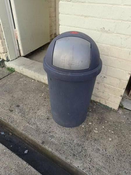 bullet bin willow FREE TO GOOD HOME
