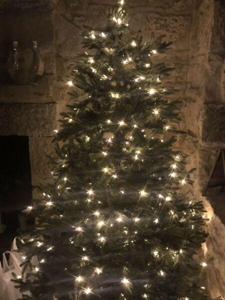 Balsam Hill Fraser Fir Christmas Tree
