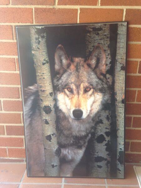 LARGE POSTER WOLF ON PLY WOOD