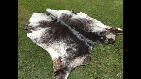 Great price quality cow hide rugs skins cowhides