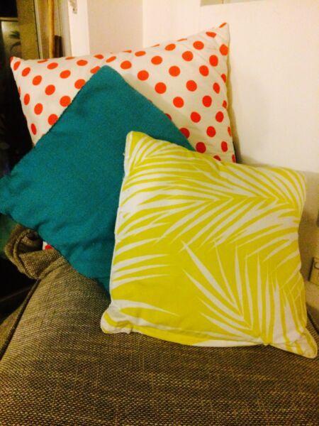 2 sofa cushions