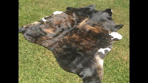 Small medium large cow hides rugs skins cowhide