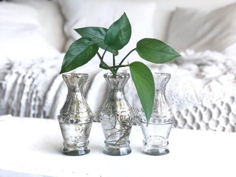 Silvered glass vases