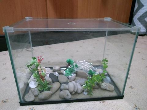 Fish Tank with Fish food, filter, heater and decoration