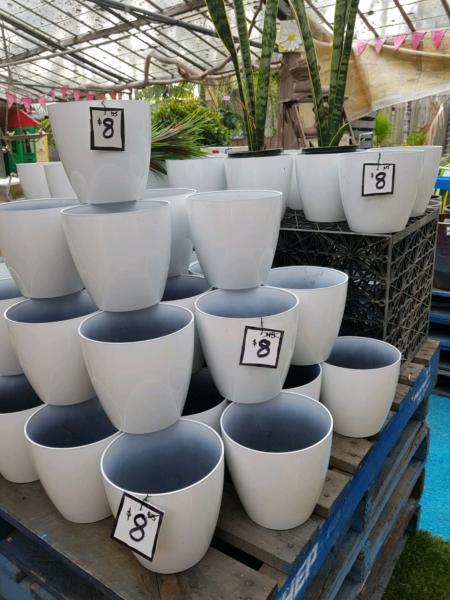 discounted pots