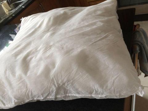 Large Cushion Insert