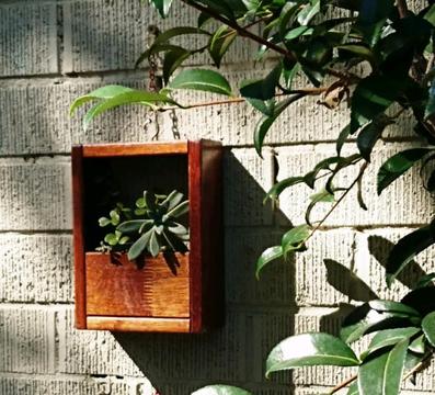 Hangbox. Hanging Garden Wall Succulent Planter Box