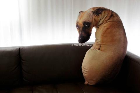 NEW Super soft Mastiff dog digital printed designer cushion. 80cm