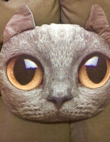 Cat face 3D cushions pillows BRAND NEW large