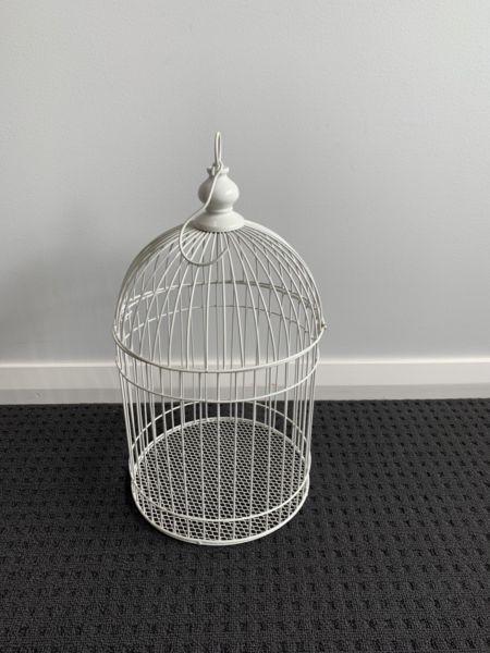 White bird cage