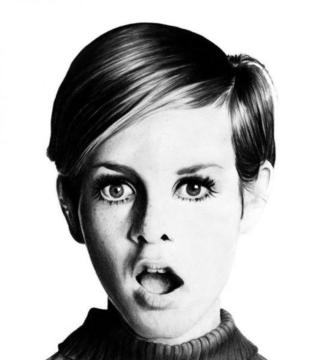 Large Black & White Twiggy Wall Print *As seen on The Block*