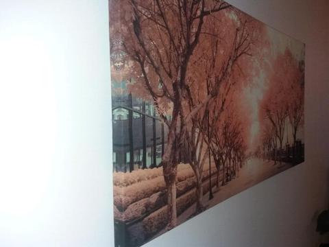 Autumn Trees - Canvas Print