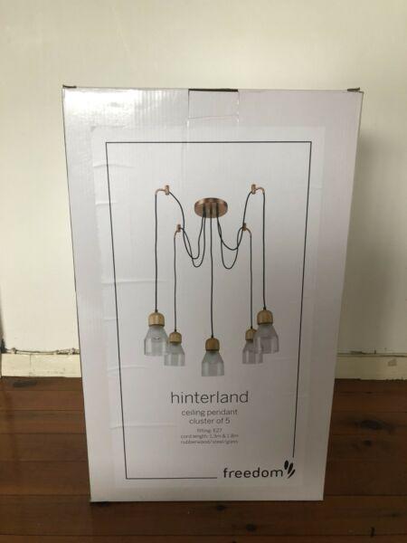 Ceiling pendant lights - clusters of 5