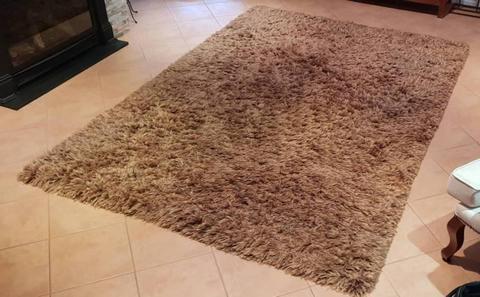 Large shuggy rug