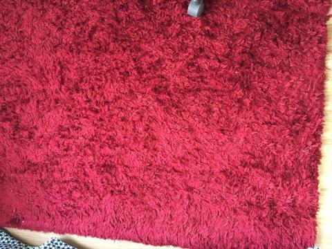 Furry Rug /carpet