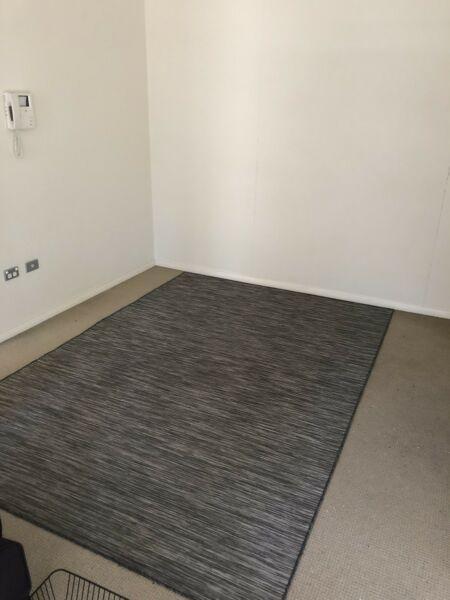 Modern indoor / outdoor rug