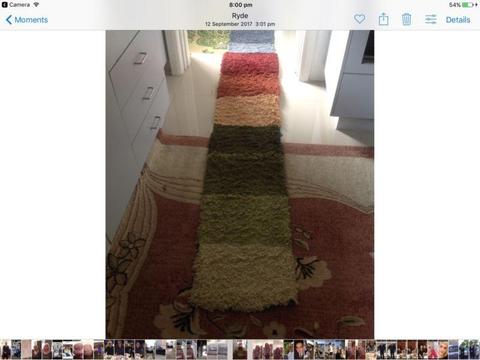 Hall way rug