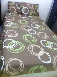 1 Queen Bed White Doona & 2 Pillows with Brown Base with Coloured