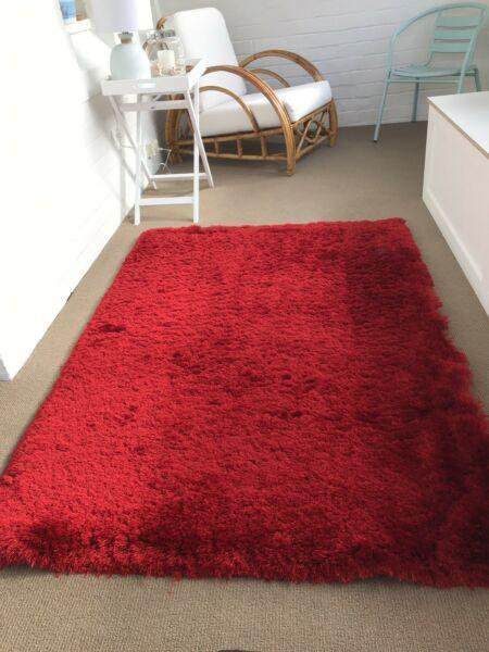 Shag Rug Carpet