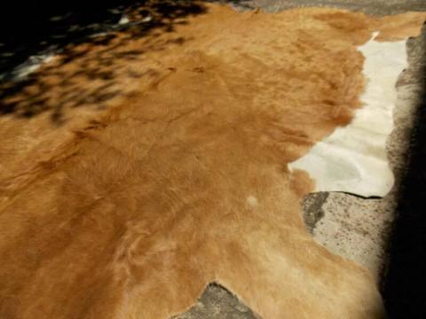 BRAND NEW LARGE COWHIDE GENUINE LEATHER HIDE TAN/CREAM