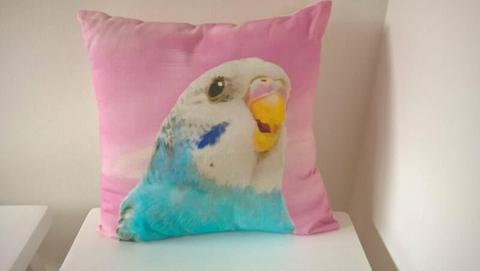 Budgie Bird Pillow Cushion in Pink