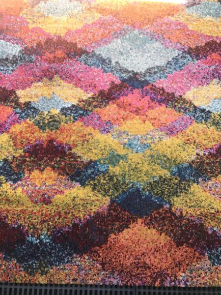Rainbow Carpet.. $100