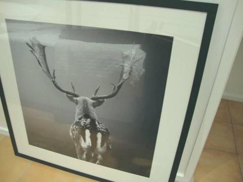 Large Deer Framed Picture
