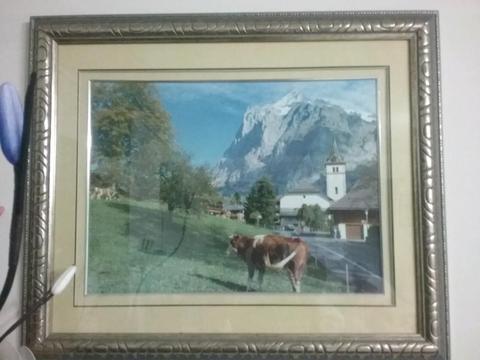 Bargain 3 Pictures Frames in 1 Cheap Price