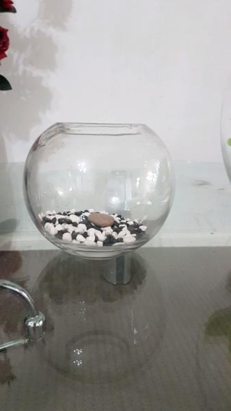 Small Glass Fish bowl