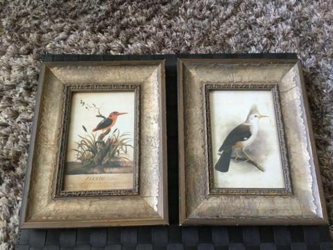 Two beautiful Frames with Birds