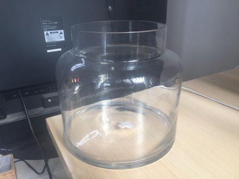 Glass Vase/Fish Tank