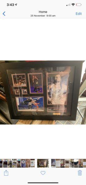 WWE Framed limited addition wrestling pictures