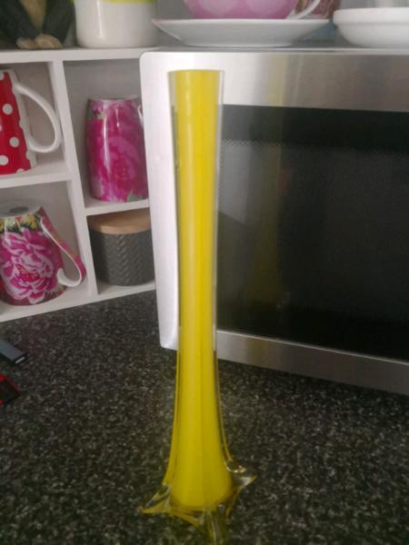 Long glass vase