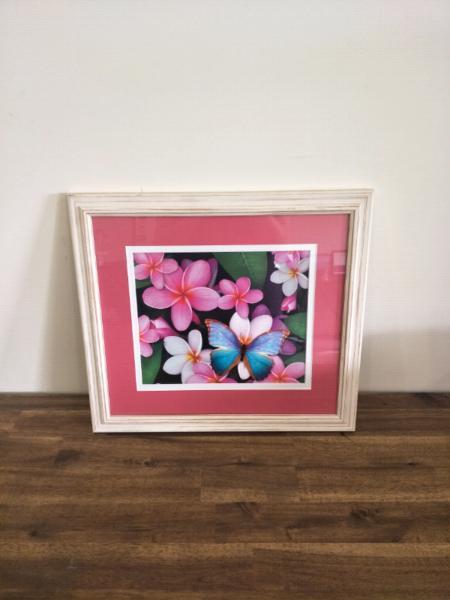 Butterfly frangipani print in rustic frame